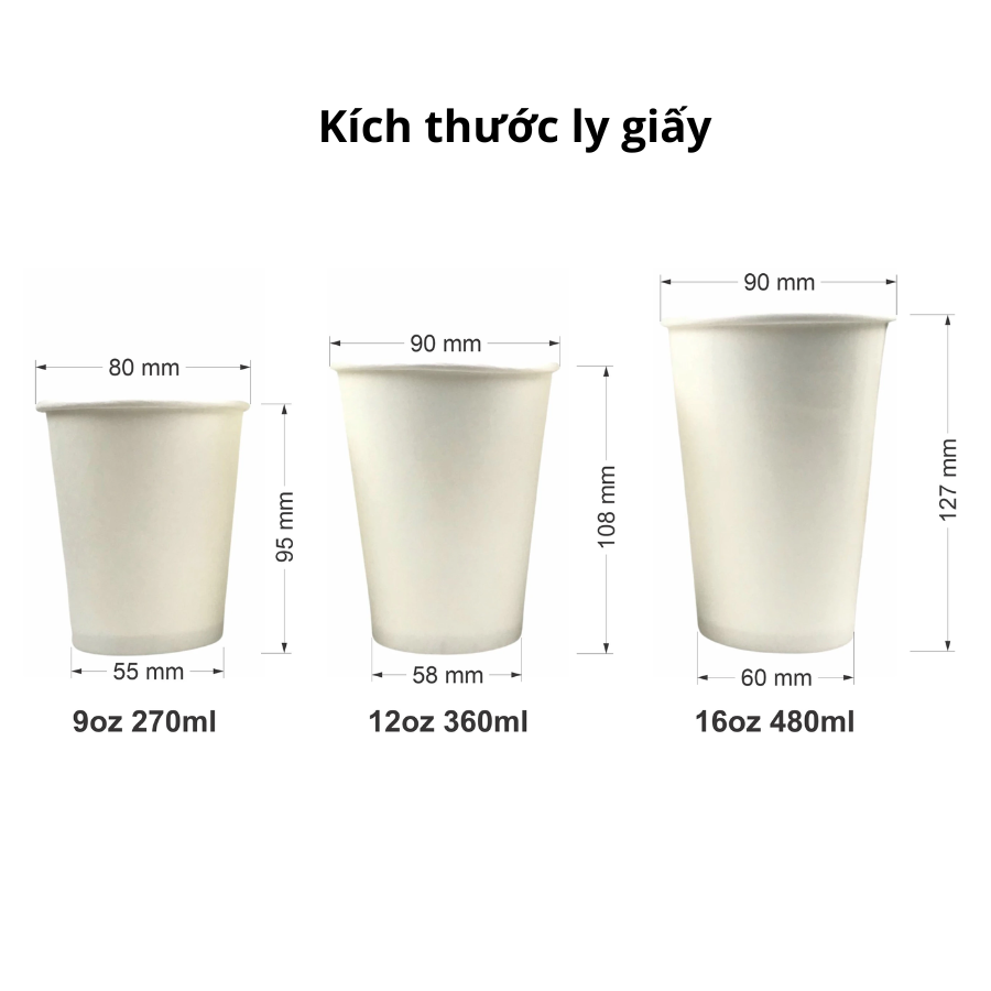 kích thước ly giấy