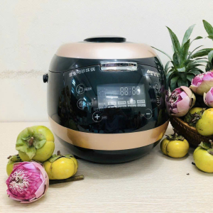 hình thật Nồi nấu trân châu tự động 5l Aonuosi