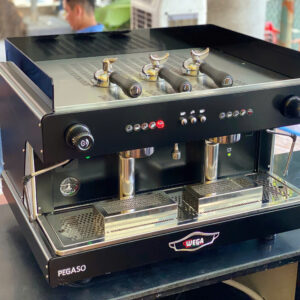 Wega-Pegaso-2-Group