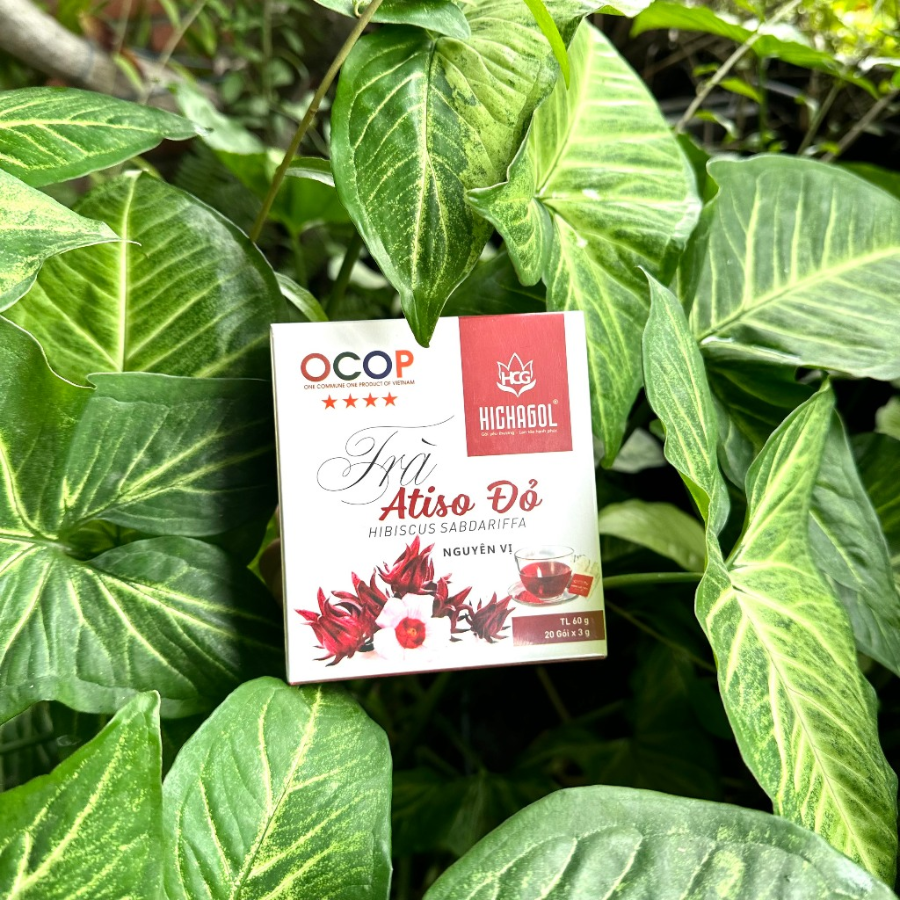 Trà atiso đỏ